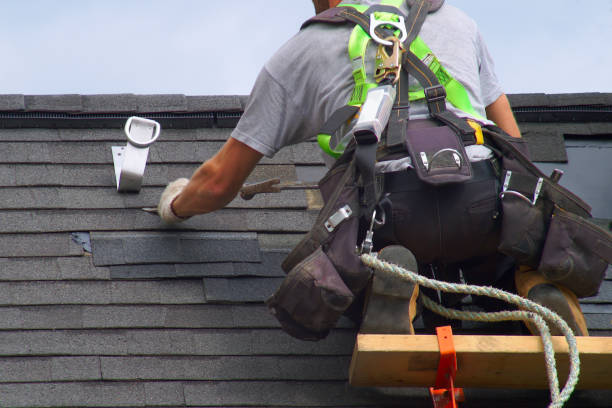 Best Roof Repair Services  in Okawvle, IL