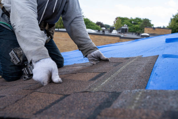 Best Roof Restoration Services  in Okawvle, IL