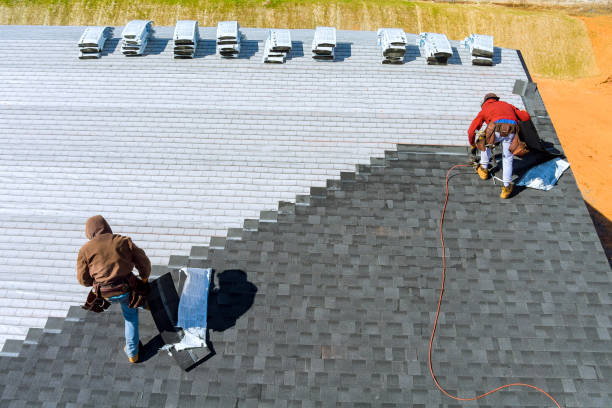 Best Local Roofing Companies  in Okawvle, IL