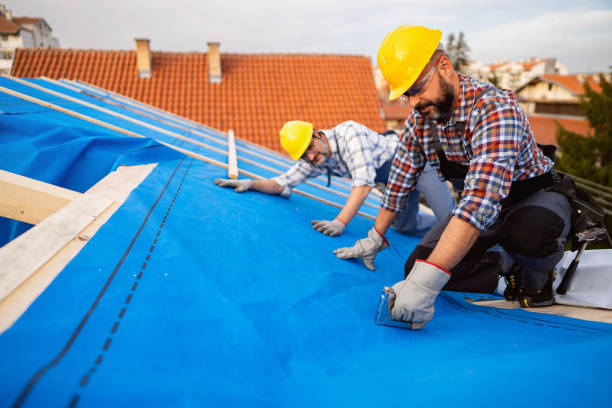 Best New Roof Installation  in Okawvle, IL