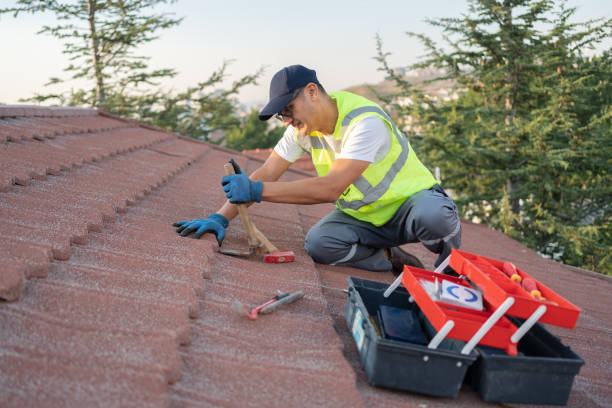 Best Storm Damage Roof Repair  in Okawvle, IL