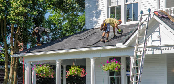 Best Flat Roof Repair Services  in Okawvle, IL