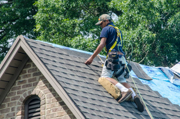 Best Residential Roofing Contractor  in Okawvle, IL